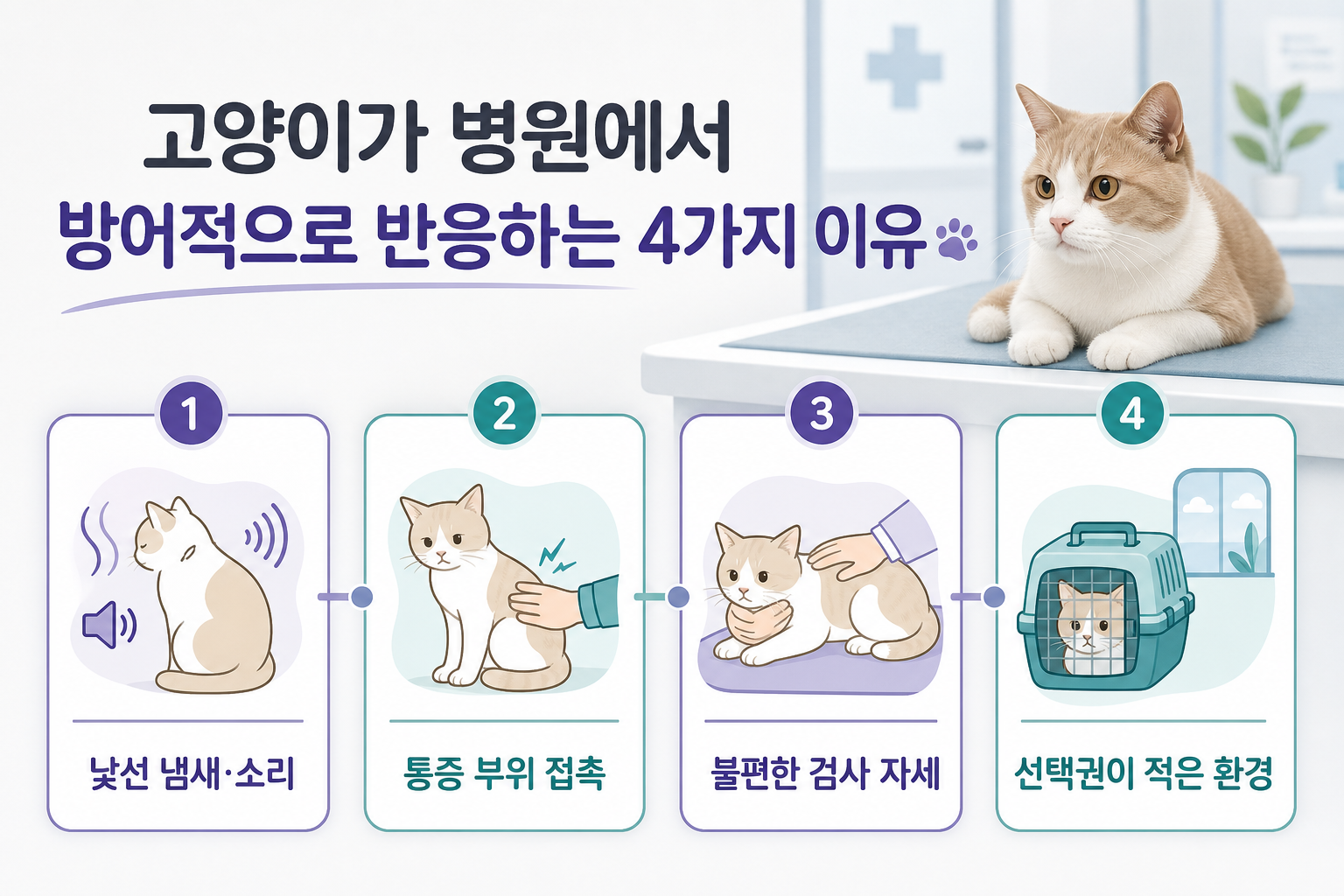 고양이가 병원에서 방어적으로 반응할 수 있는 네 가지 이유