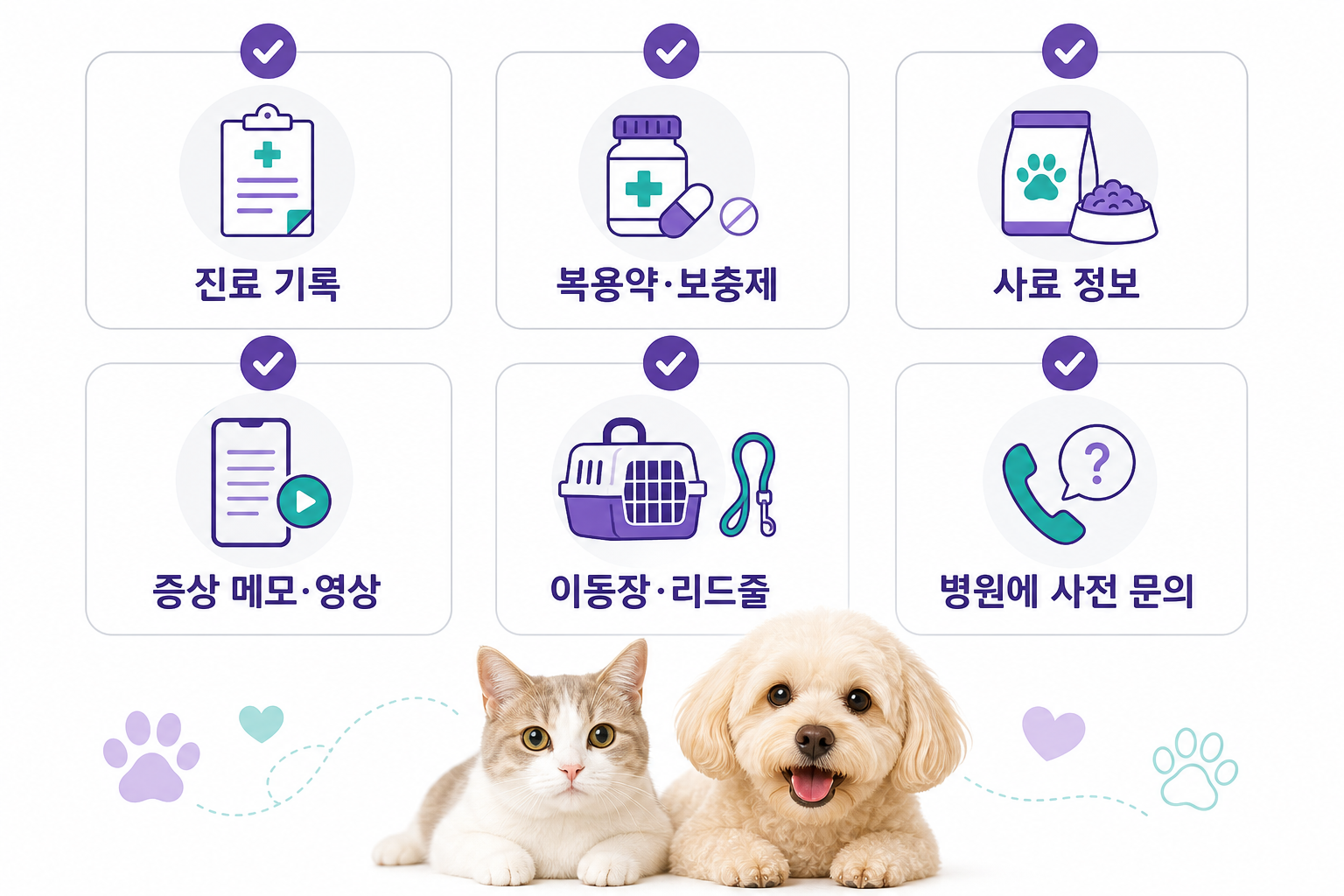 첫 동물병원 방문 전에 준비할 여섯 가지 체크리스트