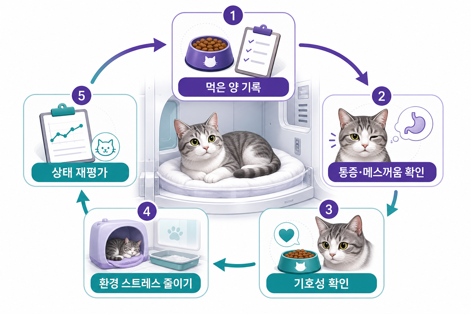 입원 고양이의 식욕을 관찰하고 재평가하는 과정