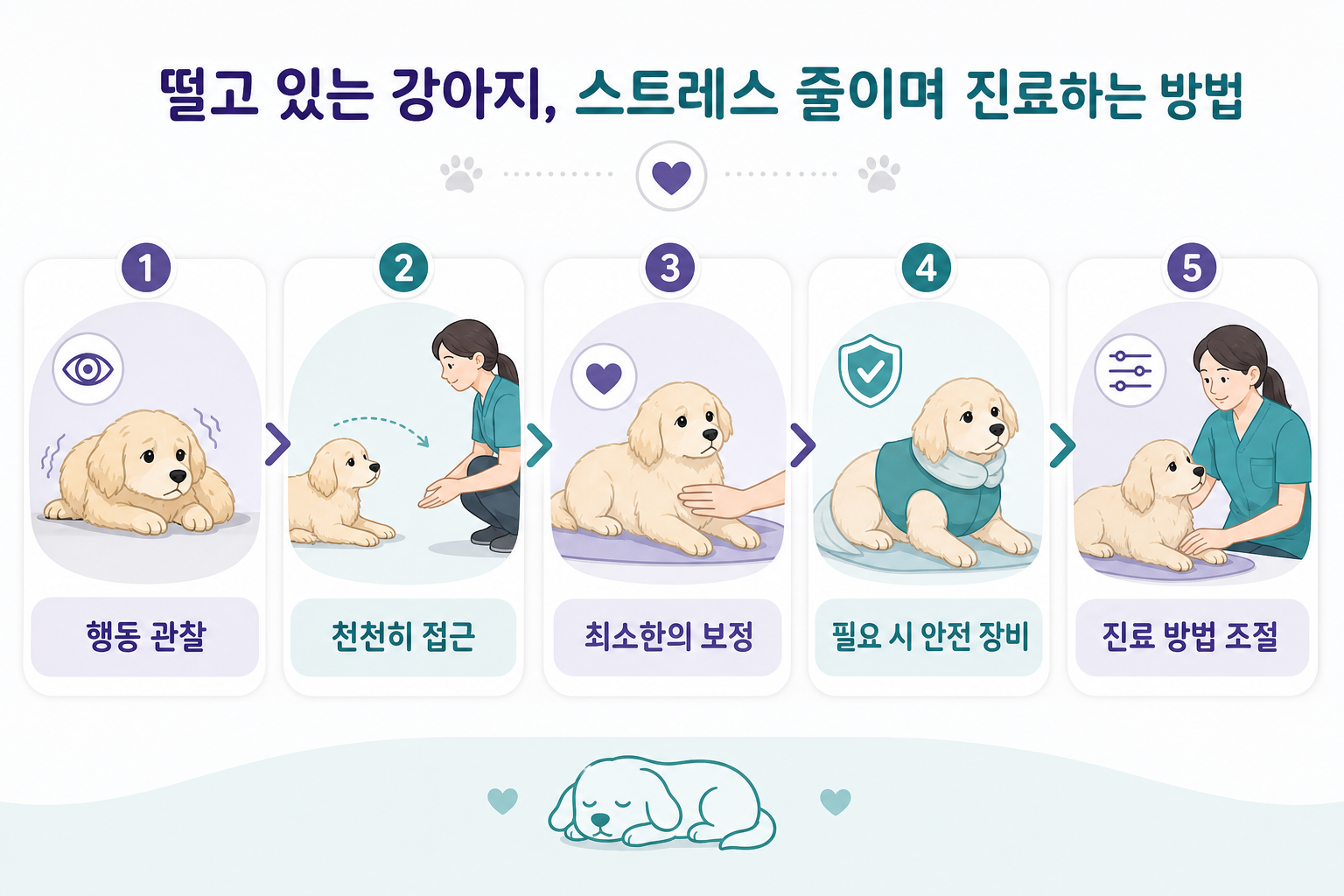 떨고 있는 강아지를 스트레스를 줄이며 진료하는 과정