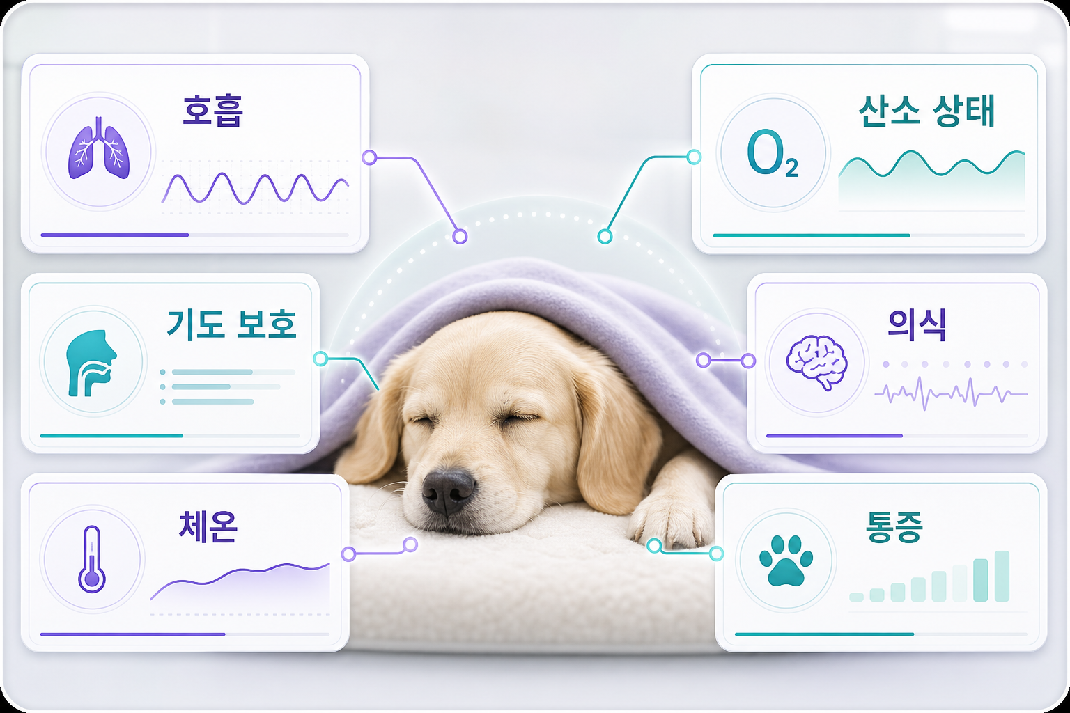 마취 회복 중 확인하는 호흡·산소·기도·의식·체온·통증