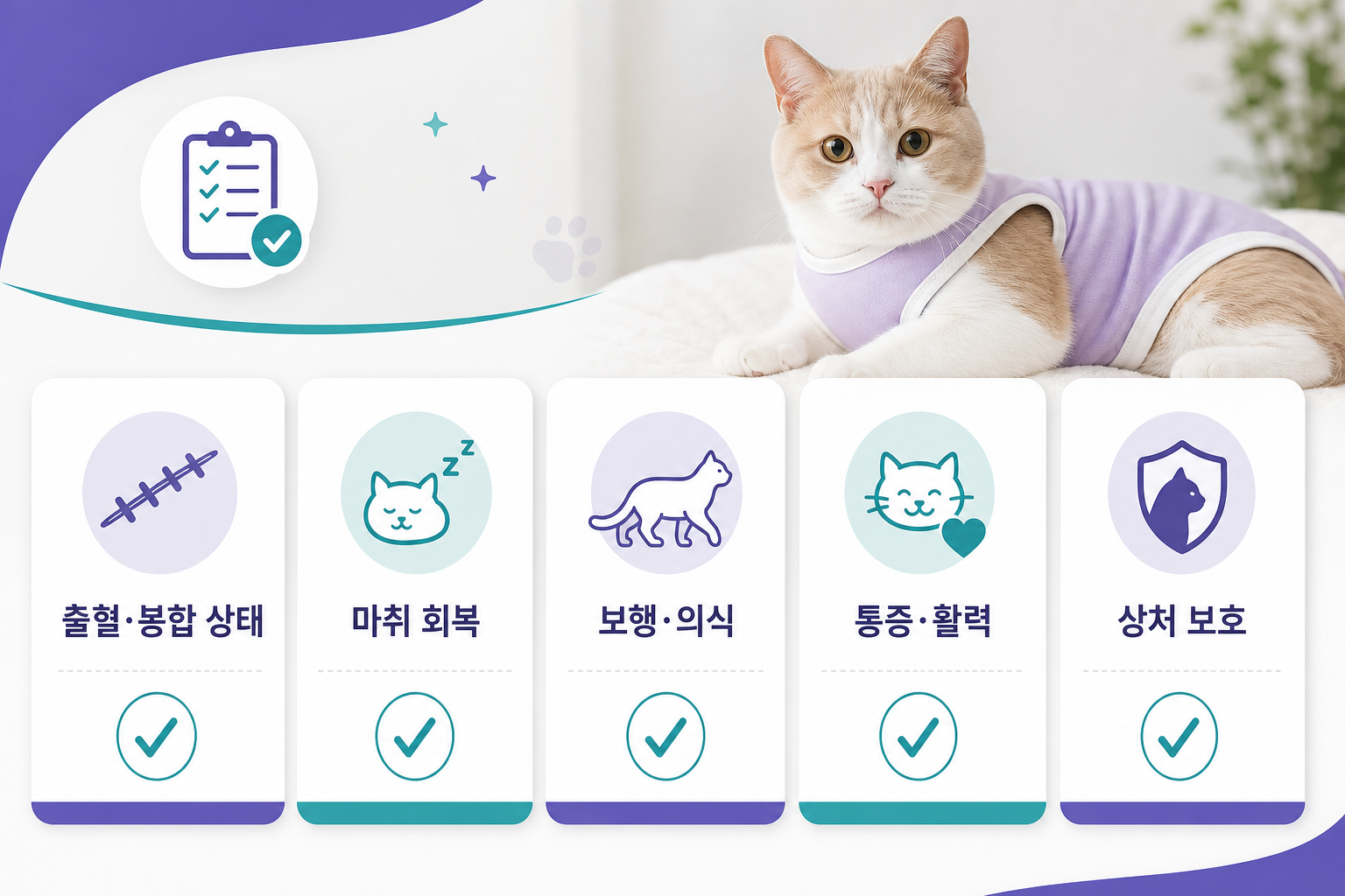 중성화 수술 후 귀가 전 다섯 가지 확인 항목