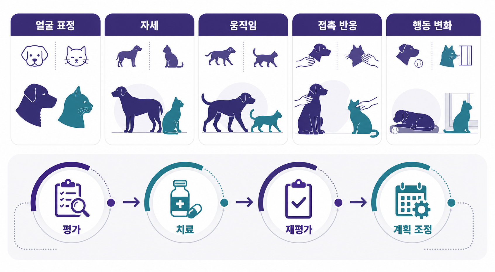 강아지와 고양이의 통증 평가 항목과 재평가 과정