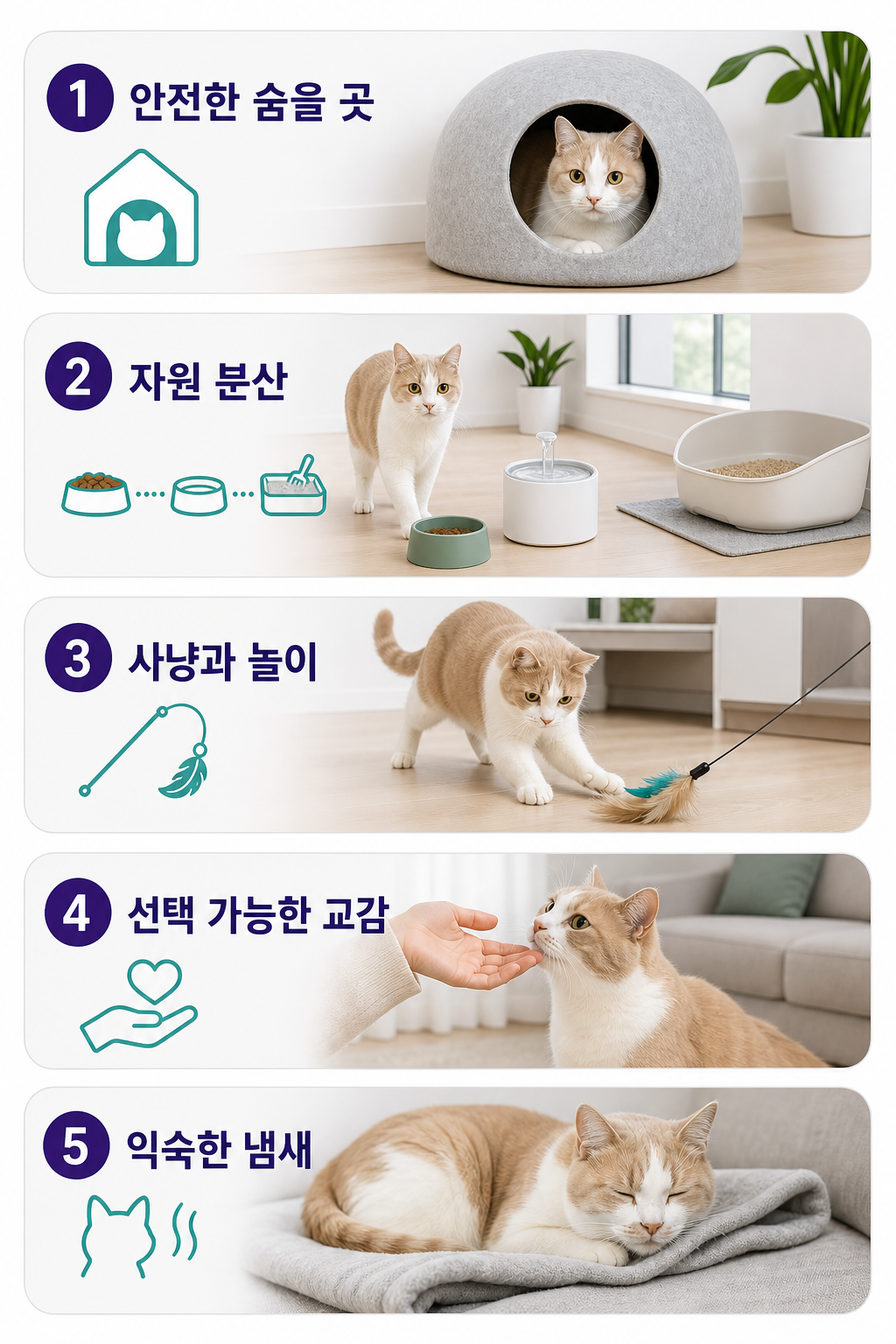 실내 고양이에게 필요한 건강한 환경의 다섯 가지 조건