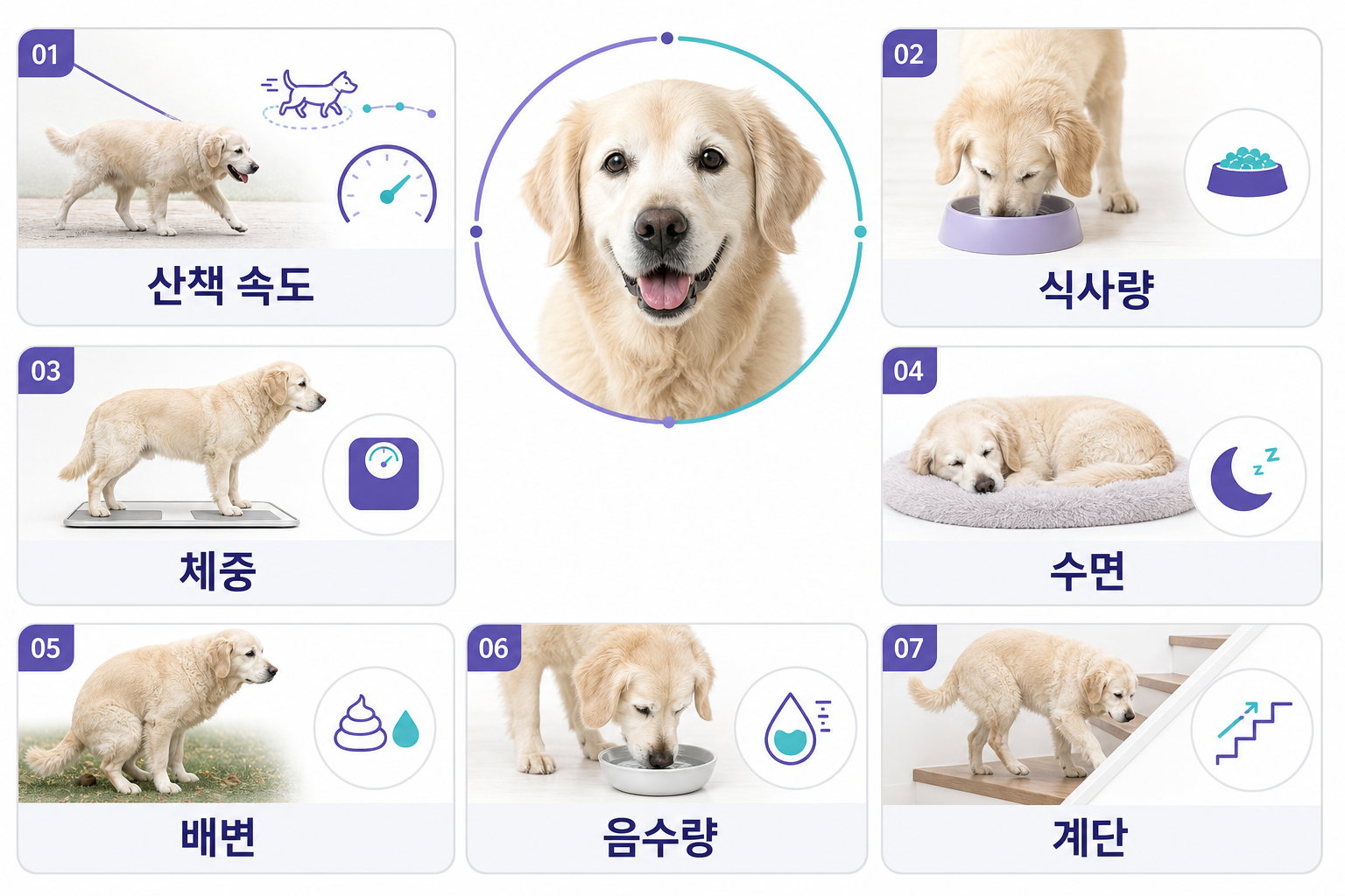 노령견에게서 평소 기록하면 좋은 일곱 가지 변화